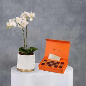 Sunrise Quartz with Chocolatiere Medium Box