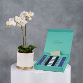 Sunrise Quartz with Chocolatiere Grand Box