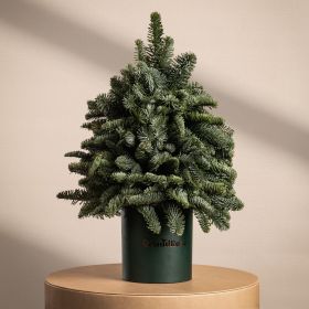 Grand Holiday Heritage Tree