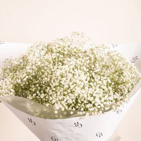 White Cloud Gypsophila Bouquet