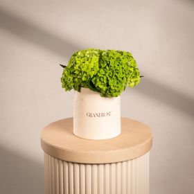 Luxe Hydrangea Green Design