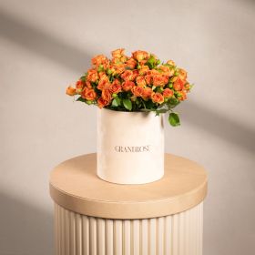 Charming Spray Rose Orange Gift