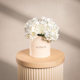 Brilliant Hydrangea White Signature