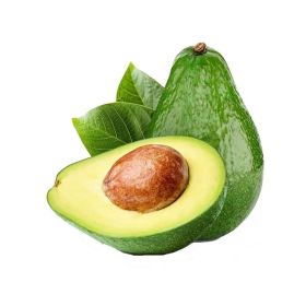 Avocado Fuerte Kenya