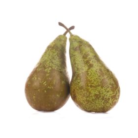 Pears Conference Netherland