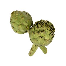 Artichoke Green Morocco