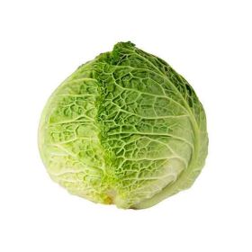 Cabbage Savoy Italy