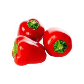 Capsicum Mini Red Netherland