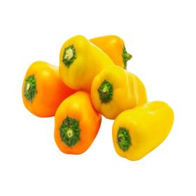 Capsicum Mini Yellow Netherland