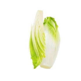 Chicory Loose Netherland