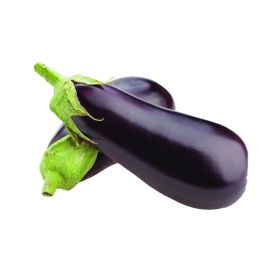Eggplant Big Green House GCC