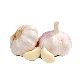 Garlic Pure White China