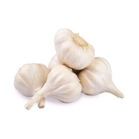 Garlic India