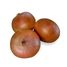 Onion Brown Australia