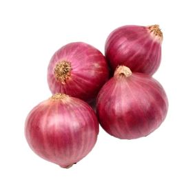 Onion Red India