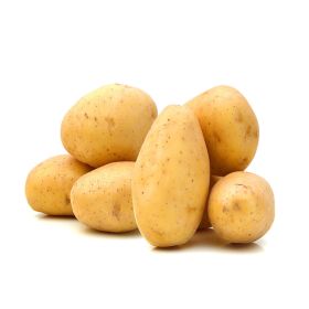 Potato Agria Lebanon
