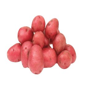 Potato Chat Red Australia