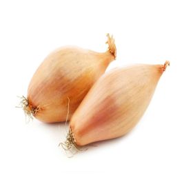 Banana Shallot Holland