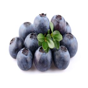 Organic Blueberries South Africa