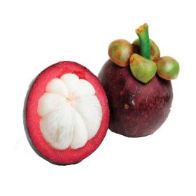 Mangosteen Indonesia