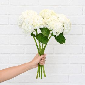 Bunch of White Hydrangea