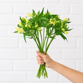 Bunch of White Alstroemeria