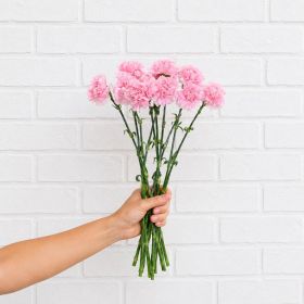 Bunch of Pink Carnation