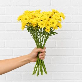 Bunch of Yellow Chrysanthemum