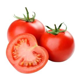 Tomato GCC