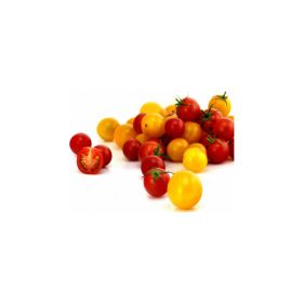 Saveol Tomato Cerise Np 250G