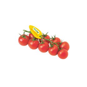 Saveol Tomato Cocktail Np 500G