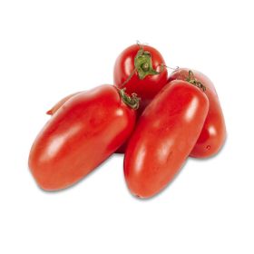 Torino Tomato