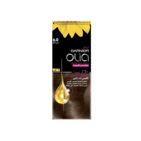 Garnier Olia Light Brown Hair Color 6.0
