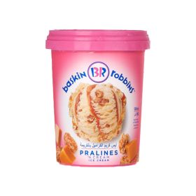 Baskin Robbins Pralines 'n Cream Ice Cream
