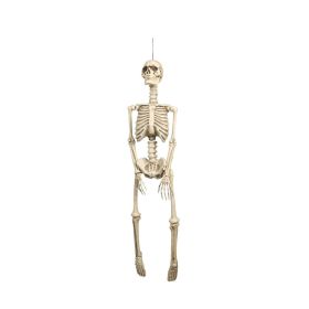 Trishi Hanging Skeleton Decor