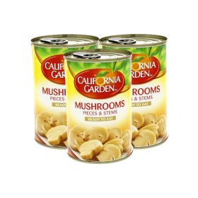 California Garden Mushroom Stems