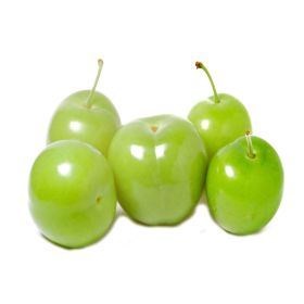 Plums Green (Janerik) Lebanon