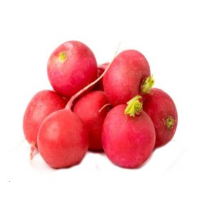 Radish without Leaves Lebanon