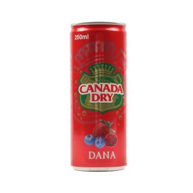Canada Dry Dana Drink 250ml
