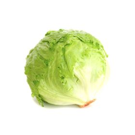 Lettuce Iceberg