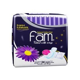 Fam Tri Fold Night With Wings