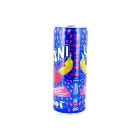 Rani Mango Float No Sugar