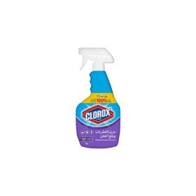Clorox Mold & Mildew Remover 750ml