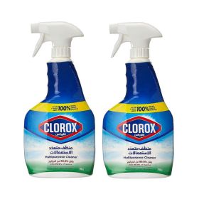 Clorox Multipurpose Cleaner Twin Pack