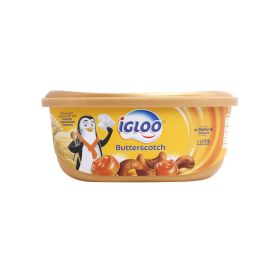 Igloo Butterscotch Ice Cream