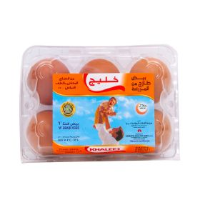 Khaleej Medium Brown Eggs