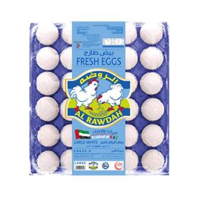 Al Rawdah Fresh Eggs White Large 