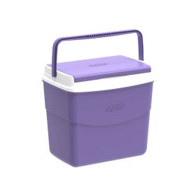 Cosmoplast Keep Cold Picnic Icebox 5L