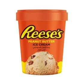 Reeses Peanut Butter Ice Cream