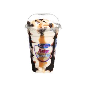 Kwality Ice Cream Fudge Sundae